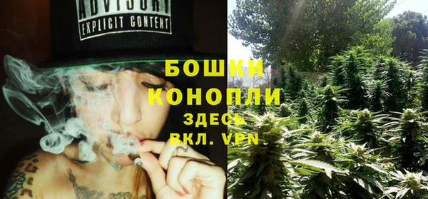 бошки Семилуки