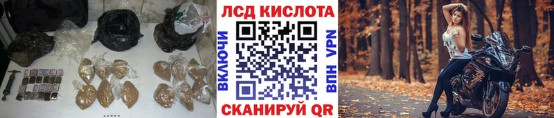 LSD-25 экстази кислота Кедровый