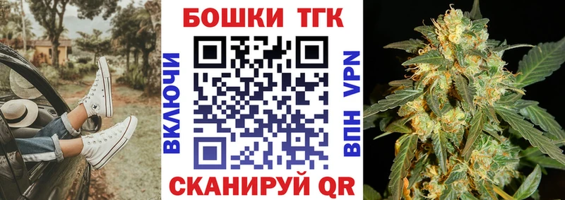 Бошки Шишки планчик  Кедровый 